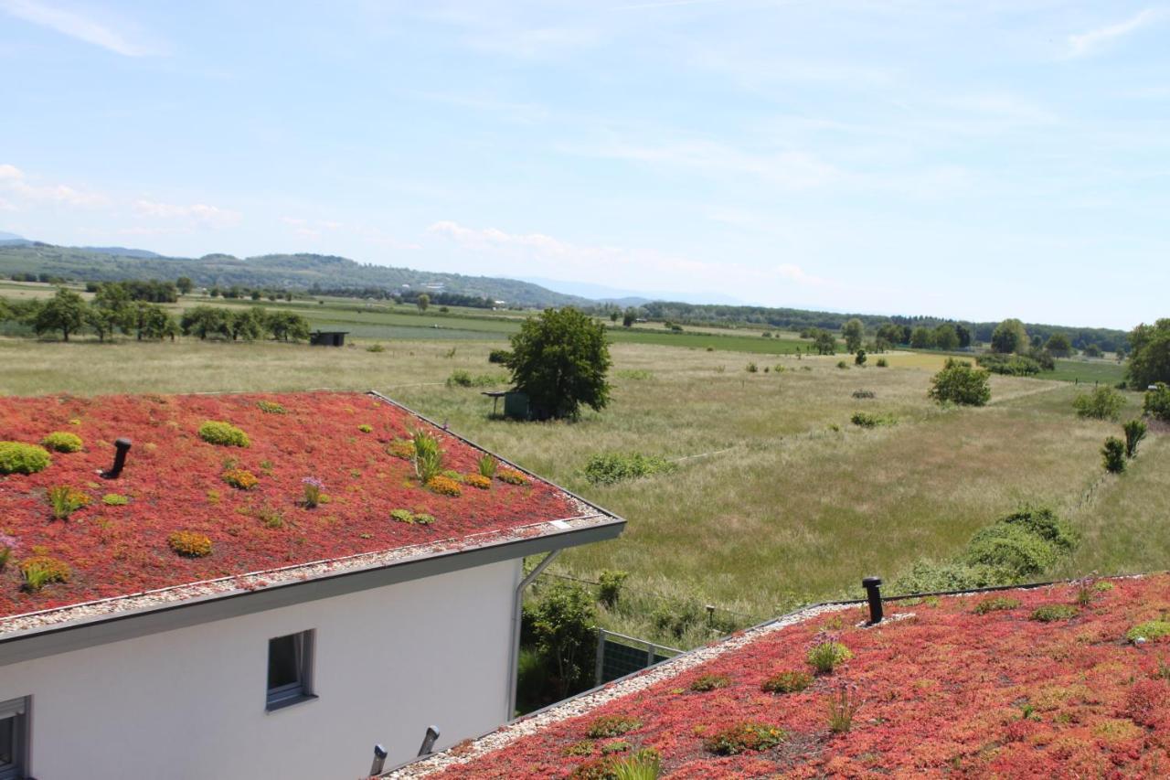 Lavate Lägenhet Kappel-Grafenhausen Exteriör bild