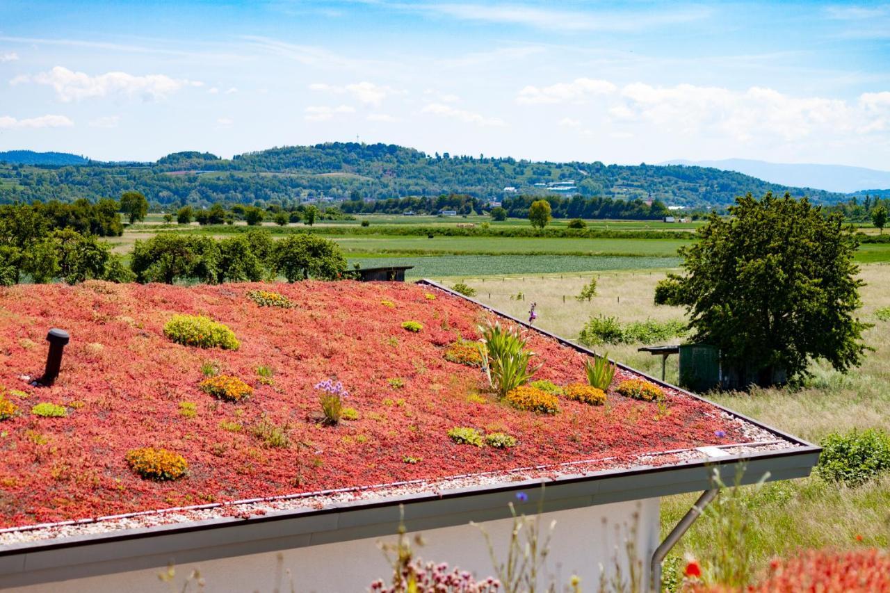 Lavate Lägenhet Kappel-Grafenhausen Exteriör bild